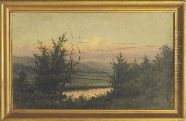 River Through The Forest Clearing - view 1