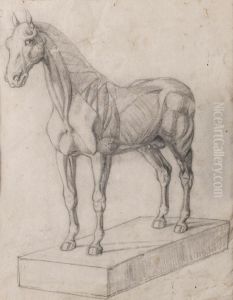 Etude D'un Platre De Cheval Etude D'un Platre De Cheval