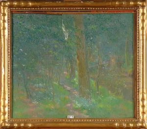 Sous-bois