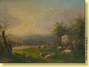 Moutons Et Ane Au Paturage