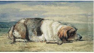 Chien Couche by Valentine De Segur-Lamoignon