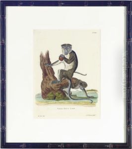 [monkeys]: Six Plates by Jacques Eustache De Seve