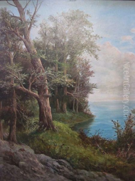 Landscape With A Lake - view 1