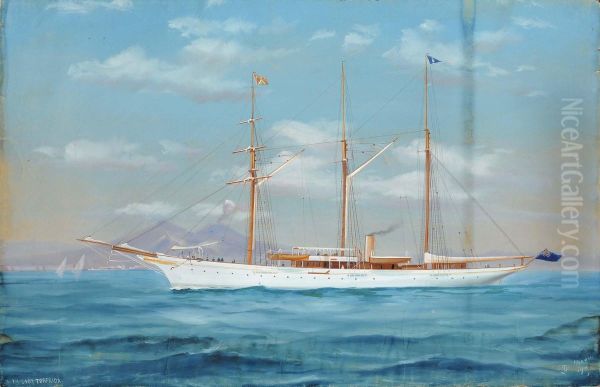 Rtrattodello Steam Yacht Lady Torfrida - view 1