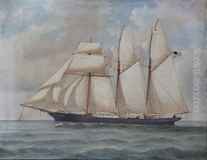 Ship Portrait