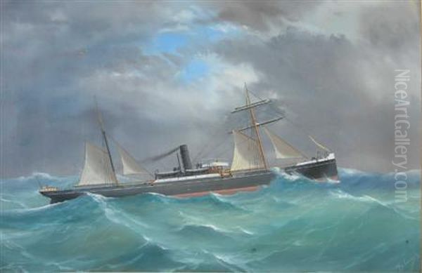 The Sussex In Choppy Seas - view 1