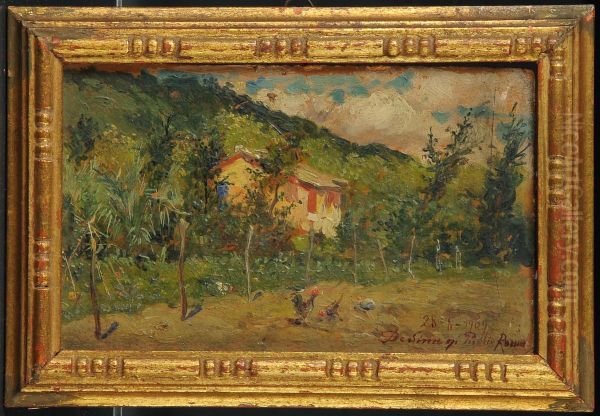Paesaggio Agreste Conpollaio - view 1