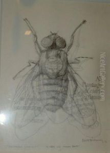 J. Soderberg, Etsning, 16x10
