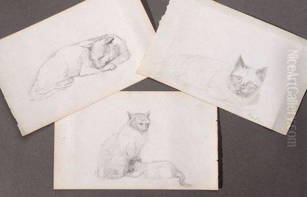 Les Chats - view 1