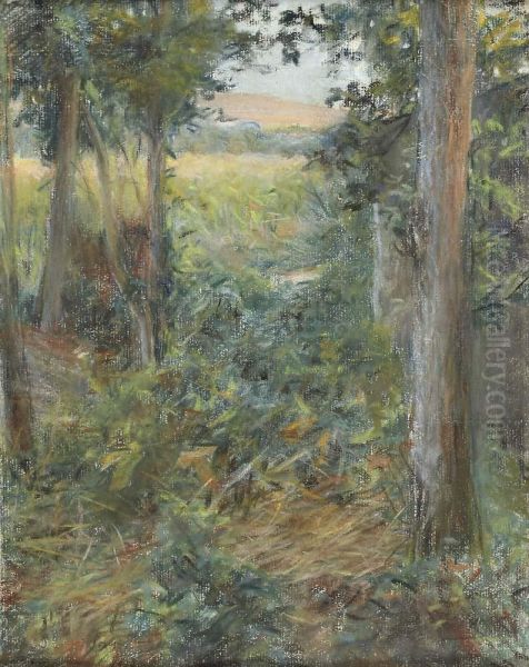 Paisagem - view 1