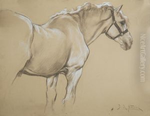 Stallone Percheron by Daniele De Strobel