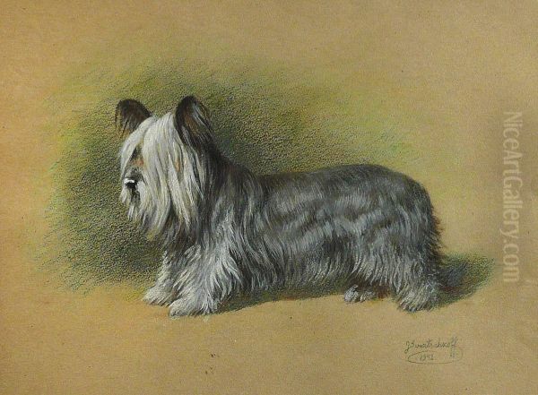Le Fox Terrier - view 1