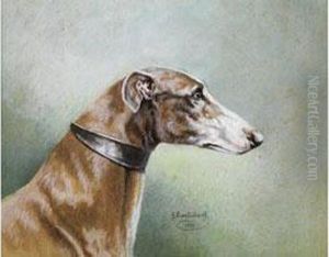 Der Windhund