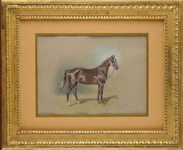 Cheval A L'arret - view 1