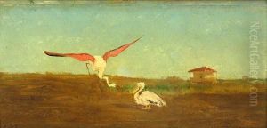 A Flamingo And A Pelican