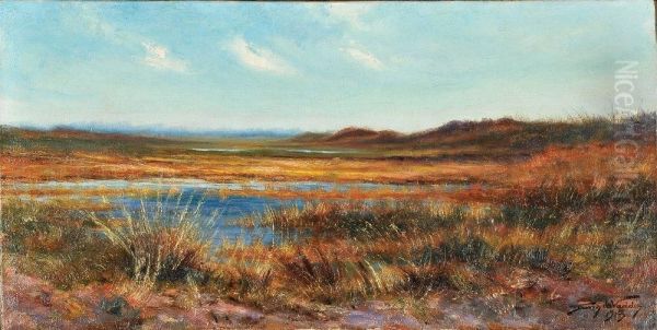 Marais (automne) - view 1