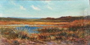 Marais (automne) by Franz De Vadder