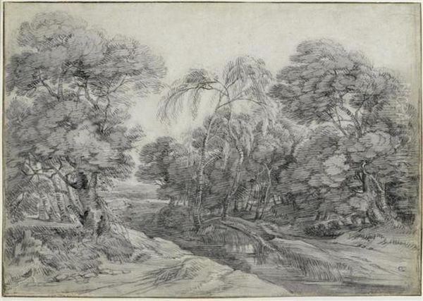 Wooded Landscape - view 1