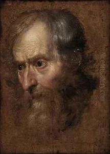 Study Of The Head Of A Man