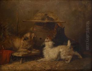 Les Ratiers Affaires by Vincent de Vos