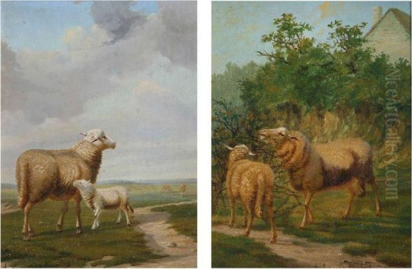 Schapen In Landschap - view 1