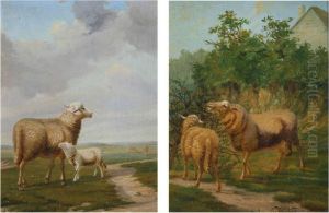 Schapen In Landschap by Arthur De Waerhert