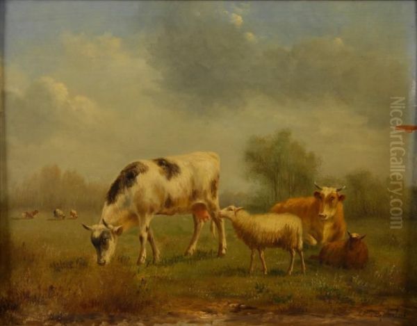 Moutons Et Vaches Au Paturage - view 1