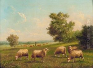 Moutons A La Prairie