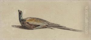 A Pheasant by Peter de Wint