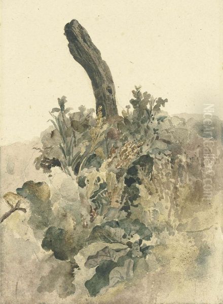 Study Of A Tree-stump With Foliage - view 1