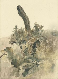 Study Of A Tree-stump With Foliage by Peter de Wint