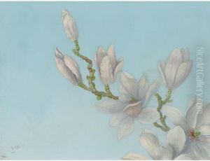 A Twig Of Magnolia
