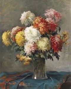 Chrysanthemum