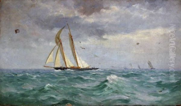 Marine Scene With Racing Schooners - view 1