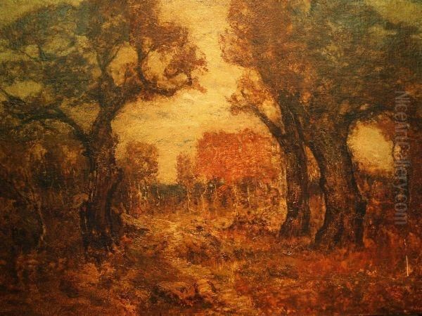 Wooded Path In Autumn - view 1
