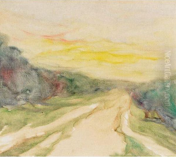 Path At Sunset - view 1