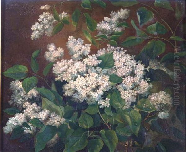 A Study Of White Lilac With Raindrops - view 1