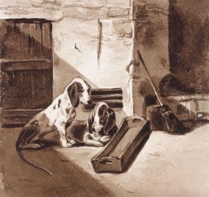 Chiens Au Chenil