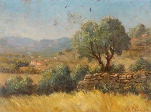 Paysage Du Sud