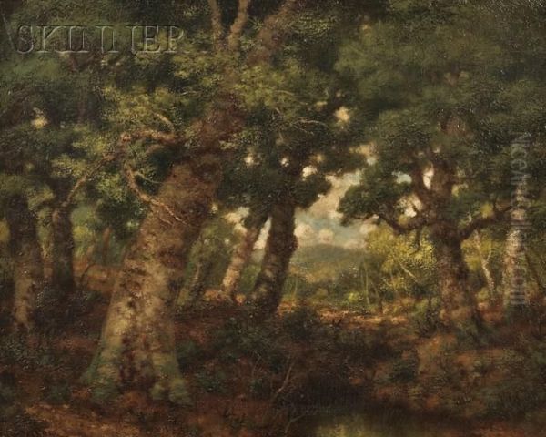 View Of A Clearing Through A Grove - view 1