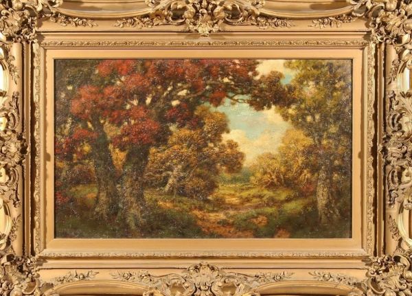 Autumn Landscape In The Forest - view 1