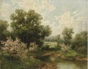 Spring Landscape Spring Landscape