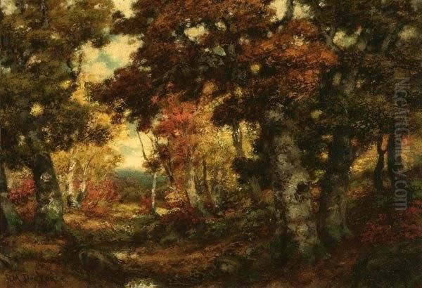 Autumn Wooded Landscape - view 1