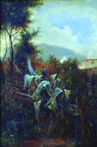 Paysage Aux Agaves Paysage Aux Agaves
