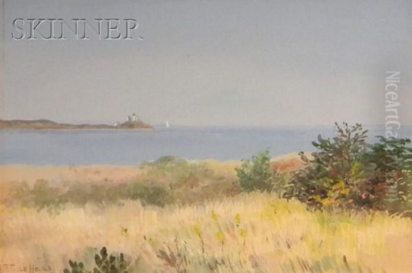 Coastal Landscape With Lighthouse - view 1