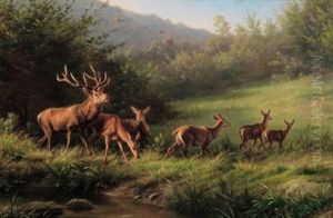 Rotwildrudel Auf Einer Waldlichtung