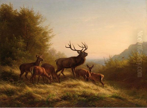 Deer In A Landscape - view 1