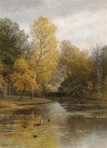 River Landscape With Ducks
