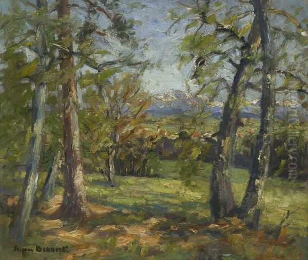 Waldlandschaft - view 1