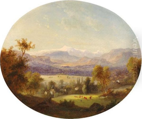 Mount Washington, Conway Meadows - view 1